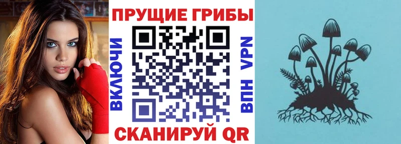 гидра ссылки  Ухта  Псилоцибиновые грибы мухоморы 