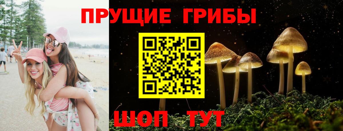 Псилоцибиновые грибы мицелий Ухта